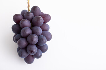 秋の味覚　ふどう　高級ぶどう　フルーツ　季節の果物