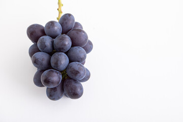 秋の味覚　ふどう　高級ぶどう　フルーツ　季節の果物