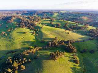 view over undulating verdant landscape punctuated by trees