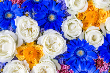 Composition of blue and white flowers