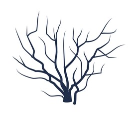 Bare tree without leaves. Dark silhouette. Beautiful. Crown with branches. Or close-up of bush. Winter or autumn season. Isolated on white background. Vector art