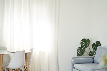 Stylish interior of the dining room with a designer white table, chairs, a plant in the corner, a large window, the concept of modern home decor. High quality photo