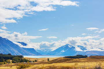 Fototapeta premium Autumn in New Zealand