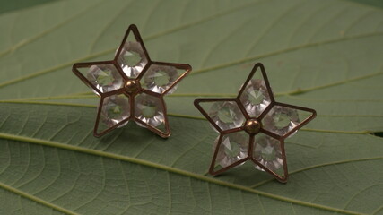 Closeup of pair of earrings on green leaves background