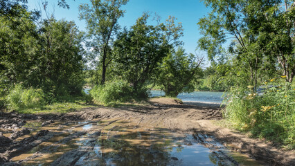 There are tire tracks and puddles on the dirt road. There is lush green vegetation on the roadsides. The river is visible ahead. A sunny summer day. Kamchatka