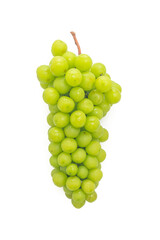 fresh green grape on white background