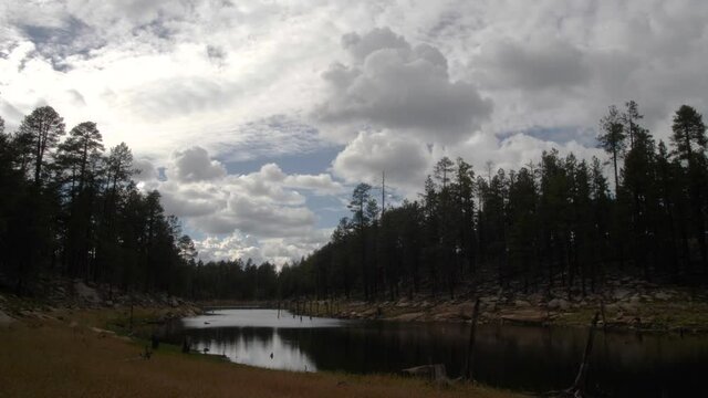 Clouds moving over a secluded canyon wood river.