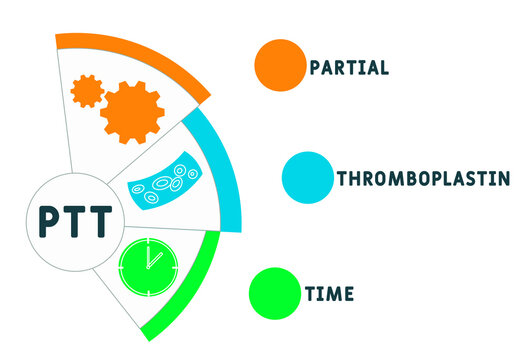 PTT - Partial Thromboplastin Time acronym. medical concept background.  vector illustration concept with keywords and icons. lettering illustration with icons for web banner, flyer, landing 
