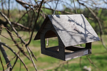 Outdoor empty wood home for birds on tree brunch. Bird's house waiting for his owner
