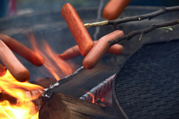 Multiple hot dogs on sticks being grilled outdoor over an campfire