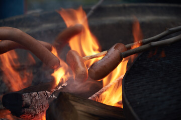 Multiple hot dogs on sticks being grilled outdoor over an campfire