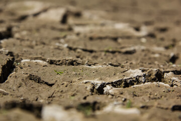 Cracked dry land during a drought. A long time without rain. Infertile soil without plants