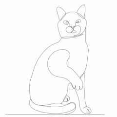 cat drawing by one continuous line, sketch