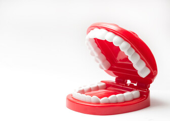 plastic model of the human's teeth