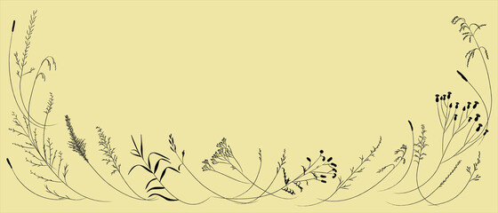 Field and meadow grasses, black contour line. Sketch of medicinal plants, vector drawing.