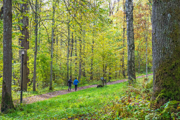 Fototapeta premium People walking on a footpath in a nature park in the autumn