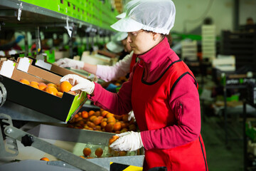 Two young concentrated female fruit warehouse workers in process of sorting and packaging fresh...
