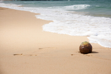 Fototapeta na wymiar a coconut is lying on the sand by the ocean on the beach