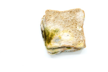 Flat lay of old bread which full of bread mold, Close up the moldy bread on white background.
