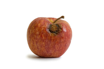 rotten apple on a white background. Horizontal photo, close-up. Spoiled fruit.