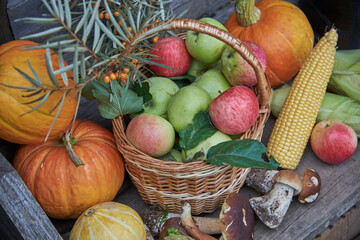 Bright pumpkins and apples, corn, mushrooms and various berries on the wooden surface