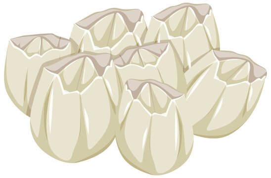 Ivoly Barnacles in cartoon style on white background