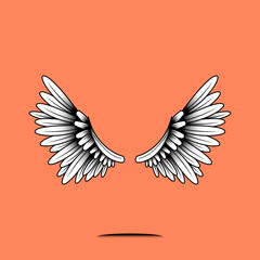Pair of wings element on an orange background vector
