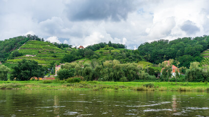 Typical landscape at the ELbe river in Germany