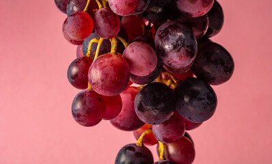 blue grapes on pink background