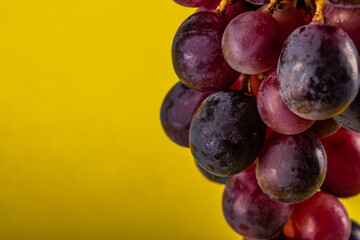 blue grapes on yellow background