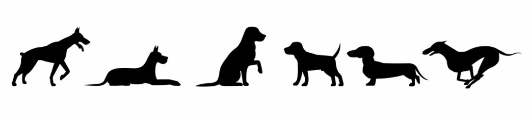 Set with silhouettes of a dog in different positions isolated on a white background. Vector illustration
