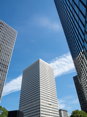 Obraz premium skyscrapers in the city