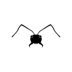 Ant vector illustration design