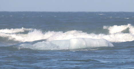 Naklejka premium Icebergs floating at diamond beach, Jokulsarlon