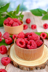 Still life footage with raspberries. Background for design.