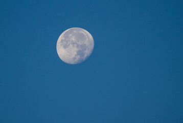The moon photographed during the day. The moon on a blue background
