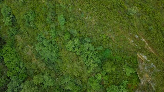aerial view of the old Roman gold mine "a toca" on the green mountains of Caurel