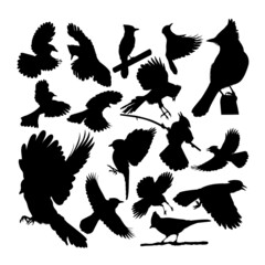 Blue jay bird animal silhouettes. Good use for symbol, logo, web icon, mascot, sign, or any design you want.
