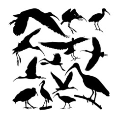 Glossy ibis bird animal silhouettes. Good use for symbol, logo, web icon, mascot, sign, or any design you want.