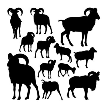 Big european moufflon animal silhouettes. Good use for symbol, logo, web icon, mascot, sign, or any design you want.