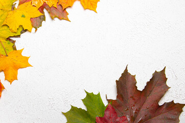 Layout of maple leaves on a white background . Autumn leaves. Autumn notes. Copy space.