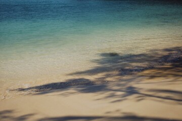 Fototapeta na wymiar Tree shadows on the beach