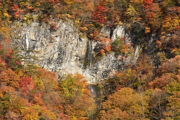 waterfall of heart shape in autumn	
