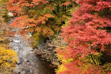 Oashi valley, Kanuma, Tochigi, in autumn