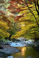 Oashi valley, Kanuma, Tochigi, in autumn