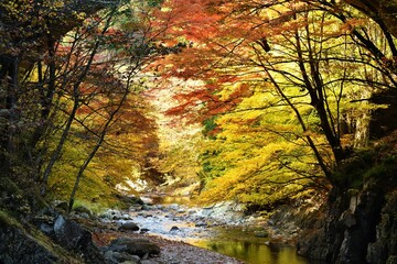 Oashi valley, Kanuma, Tochigi, in autumn