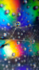 abstraction macro with water droplets on a rainbow background