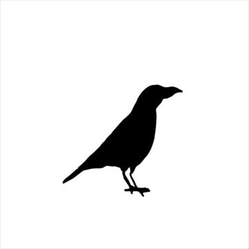 silhouette of a crow black hand drawn vector sketch