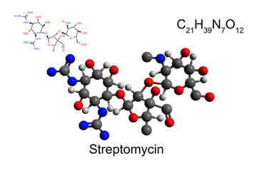 Chemical formula, structural formula and 2D ball-and-stick model of aminoglycoside antibiotic streptomycin, white background
