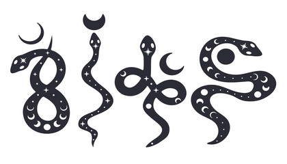 Set of celestial snakes. Moon phases